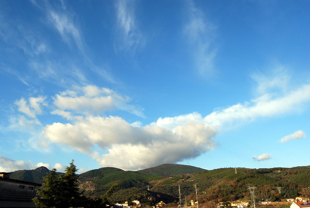 Difficult custom puzzle photo.